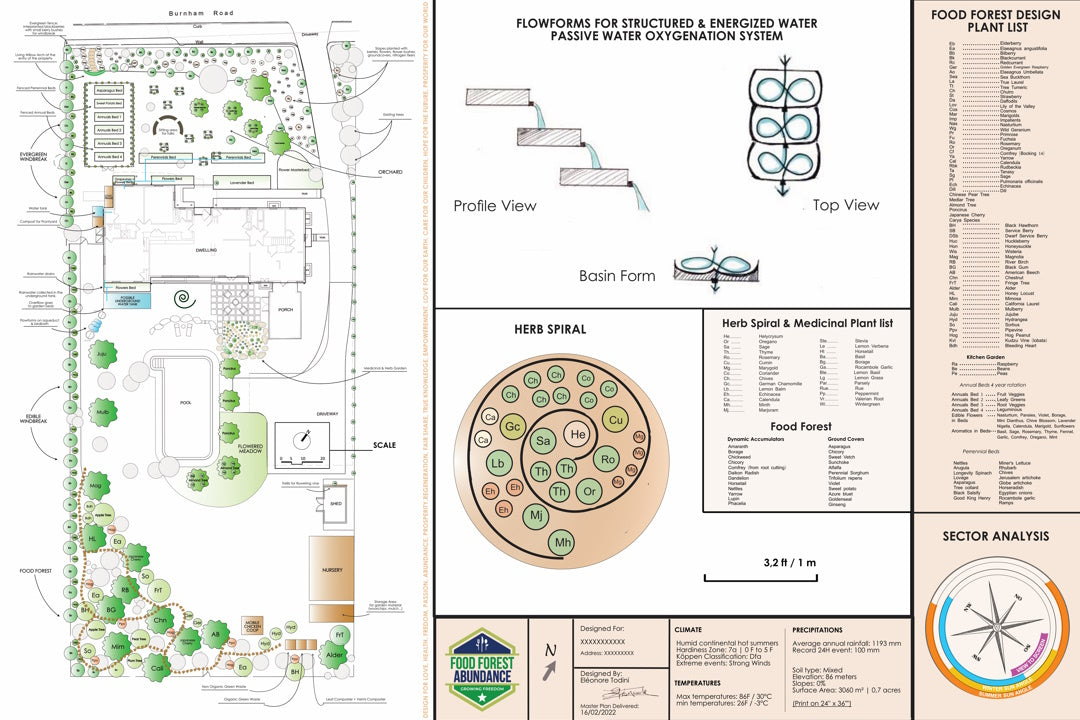 Medium Food Forest Design (1/4 -1 acre)